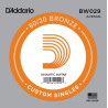 D'Addario BW029 Bronze Wound Acoustic Guitar Single String, .029