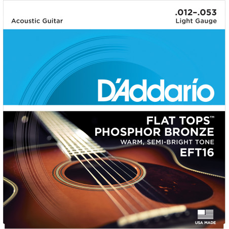 D'Addario EFT16 Flat Tops Phosphor Bronze Acoustic Guitar Strings, Light, 12-53 EFT16 D'Addario $24.39