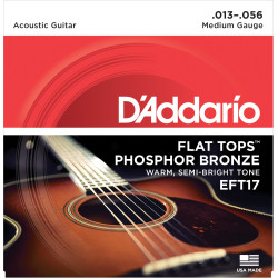 D'Addario EFT17 Flat Tops Phosphor Bronze Acoustic Guitar Strings, 13-56 EFT17 D'Addario $19.23