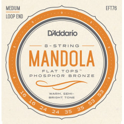 D'Addario EFT76 Flat Tops Mandola Strings, Medium, 16-53 EFT76 D'Addario $32.49