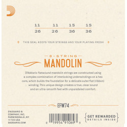 D'Addario EFW74 Flatwound Mandolin Strings, Phosphor Bronze, Medium, 11-36