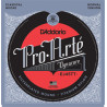 D'Addario EJ45TT ProArte DynaCore Classical Guitar Strings, Titanium Trebles, Normal Tension