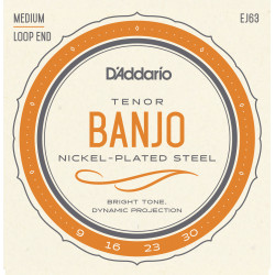 D'Addario Helicore Violin Single A String, 4/4 Scale, Light Tension
