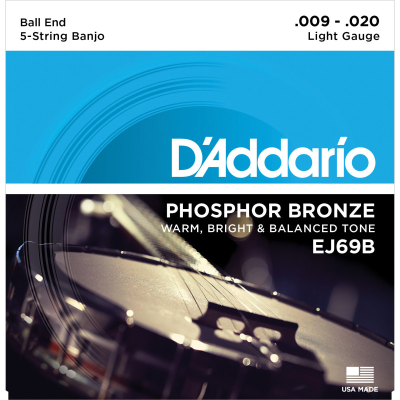D'Addario EJ69 5-String Ball-End Banjo Strings, Phosphor Bronze, Light, 9-20 EJ69B D'Addario $5.55