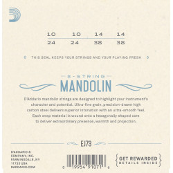 D'Addario EJ73 Mandolin Strings, Phosphor Bronze, Light, 10-38 EJ73 D'Addario $9.30