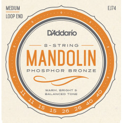 D'Addario Helicore Violin Single G String, 4/4 Scale, Heavy Tension