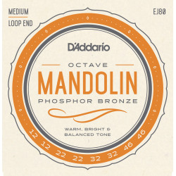 D'Addario EJ80 Phosphor Bronze Octave Mandolin Strings, Medium, 12-46 EJ80 D'Addario $12.48