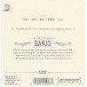 D'Addario EJS57 5-String Banjo Strings, Stainless Steel, Custom Medium, 11-22 EJS57 D'Addario $5.62