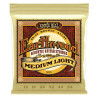 Ernie Ball EARTHWOOD MED/LIGHT 80/20 12-54