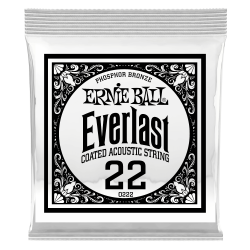 Ernie Ball EVERLAST PHOS SINGLE-022W       