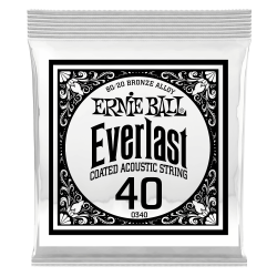 Ernie Ball EVERLAST 80/20 SINGLE-040W      