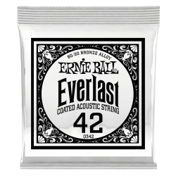 Ernie Ball EVERLAST 80/20 SINGLE-042W      