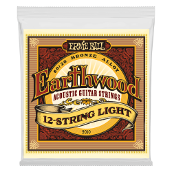 Ernie Ball EARTHWOOD 12-STRING LIGHT 9-46  