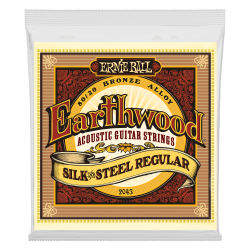 Ernie Ball EARTHWOOD S&S REGULAR 13-56     