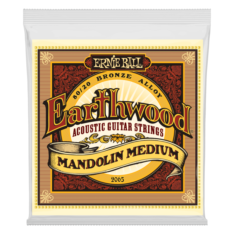 Ernie Ball EARTHWOOD MANDO MED 10-36       