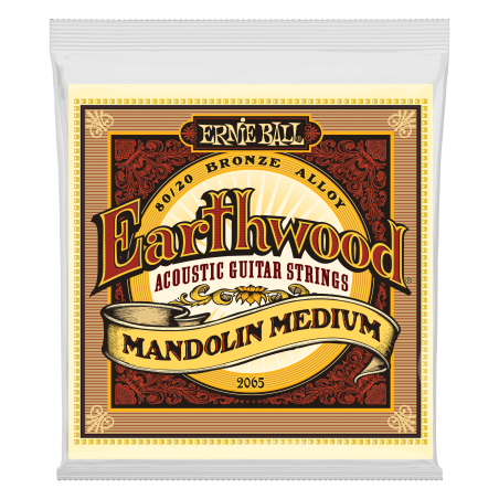 Ernie Ball EARTHWOOD MANDO MED 10-36       