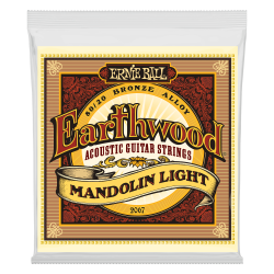 Ernie Ball EARTHWOOD MANDO LIGHT 9-34      