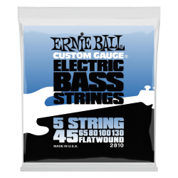 Ernie Ball BASS FLATWOUND 5 STRING 45-130