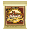 Ernie Ball EARTHWOOD MED-LIGHT 3 PACK      