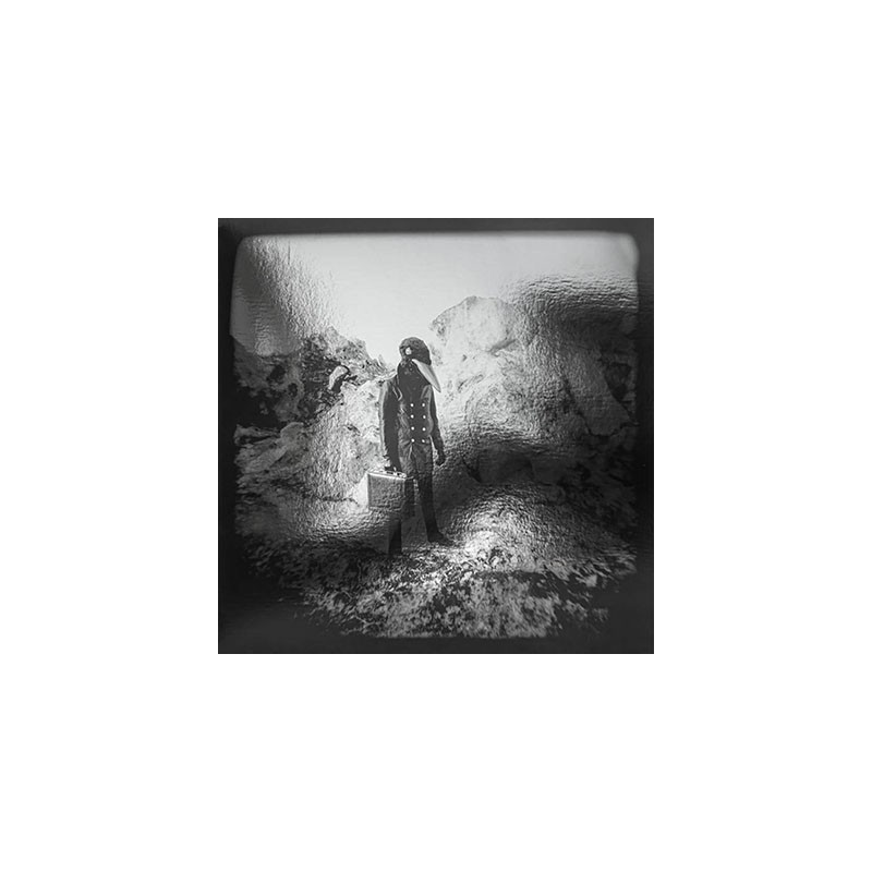 Mute - The Raven - LP Vinyle $25.99