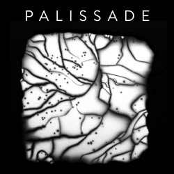 Palissade - Palissade - LP Vinyle