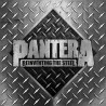 Pantera - Reinventing The Steel - Double LP Vinyle