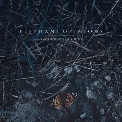 Elephant Opinions - Another Side Of Youth - LP Vinyle