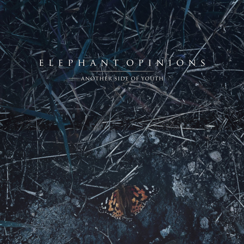 Elephant Opinions - Another Side Of Youth - LP Vinyl $20.00