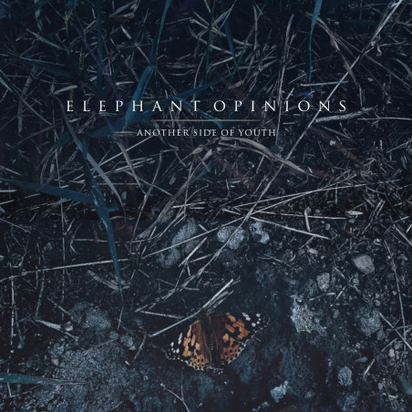 Elephant Opinions - Another Side Of Youth - LP Vinyle $20.00