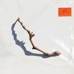 PJ Harvey - I Inside the Old Year Dying LP Vinyl $37.50