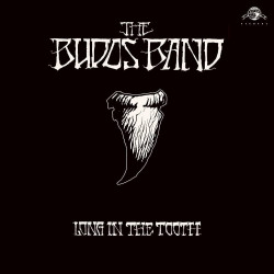 The Budos Band - Long In The Tooth LP Vinyle