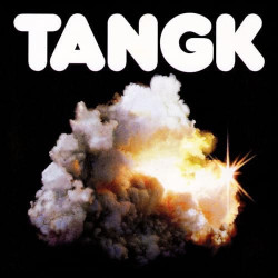 IDLES - TANGK (Indie Exclusive Transparent Pink) LP Vinyle
