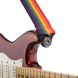 D'Addario Auto Lock Polypro Guitar Strap, Rainbow