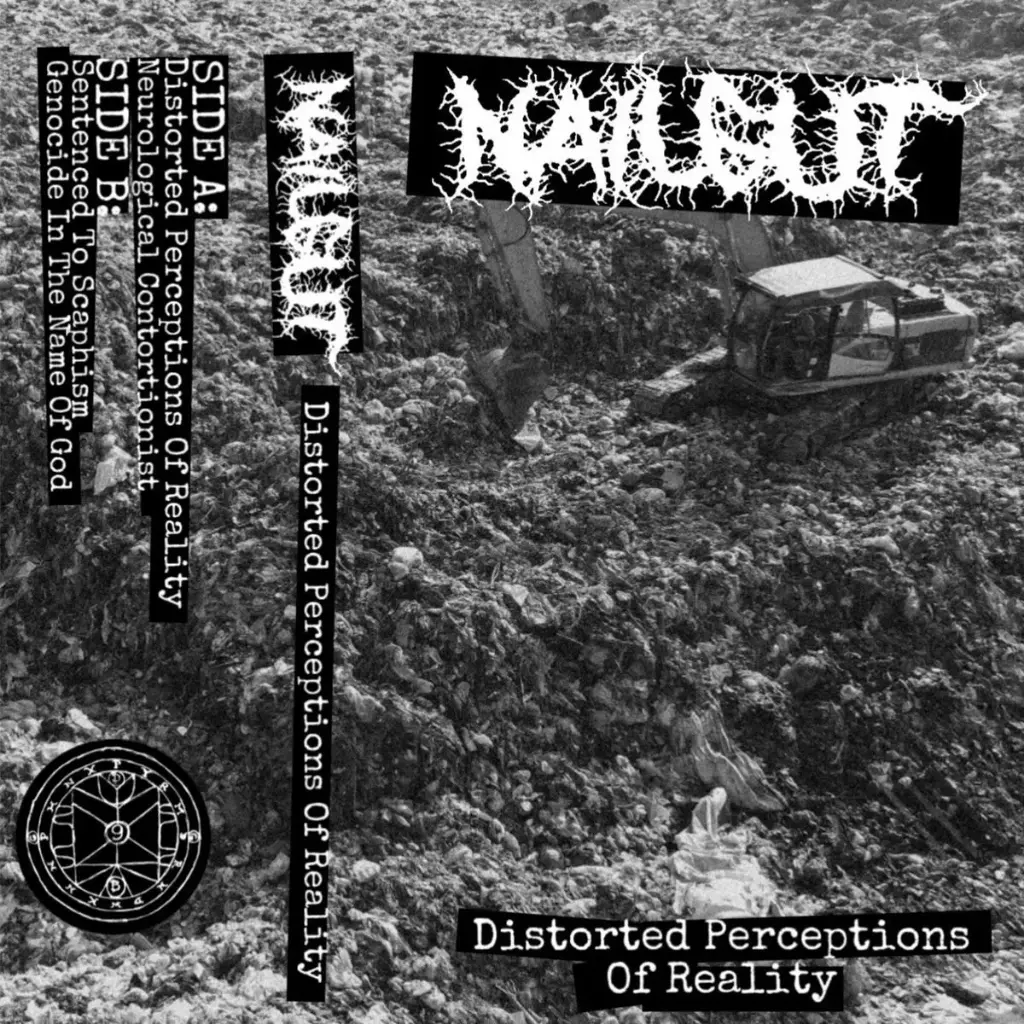 Nailgut - Distorted Perceptions of Reality - Cassette