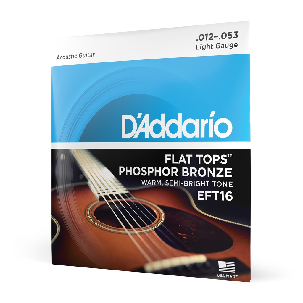 D'Addario Cordes en bronze phosphoreux et avec filet supérieur plat pour guitare acoustique D'Addario EFT16, guitare à résonateu