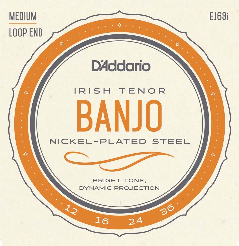 D'Addario EJ63i Irish Tenor Banjo Strings, Nickel, 12-36