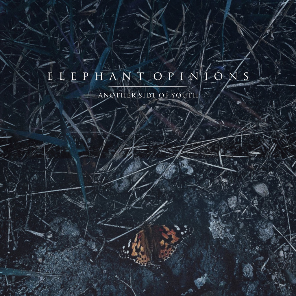 Elephant Opinions - Another Side Of Youth - LP Vinyl