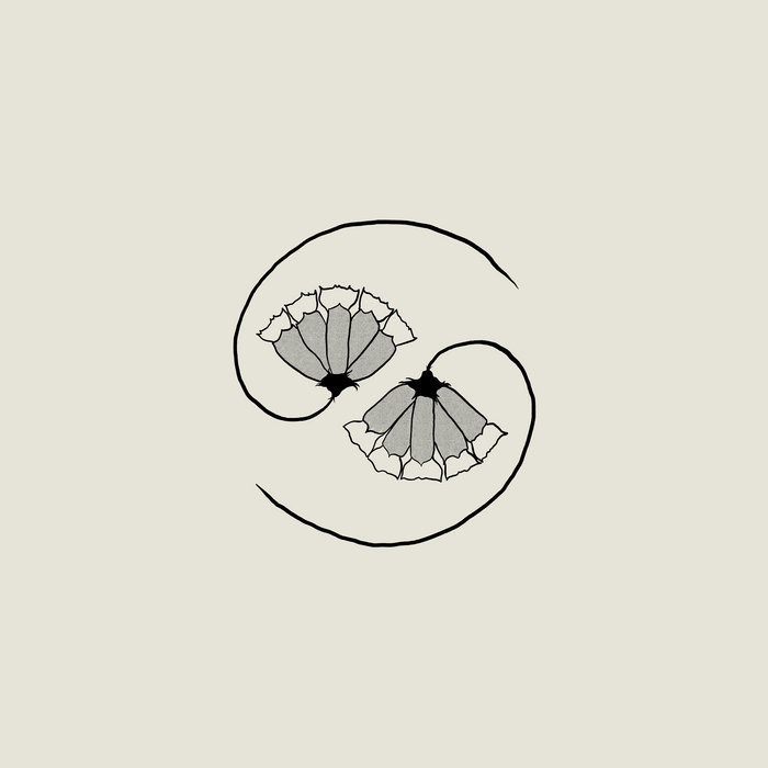 Godspeed You! Black Emperor – G_d's Pee AT STATE'S END! - LP + MLP Vinyle