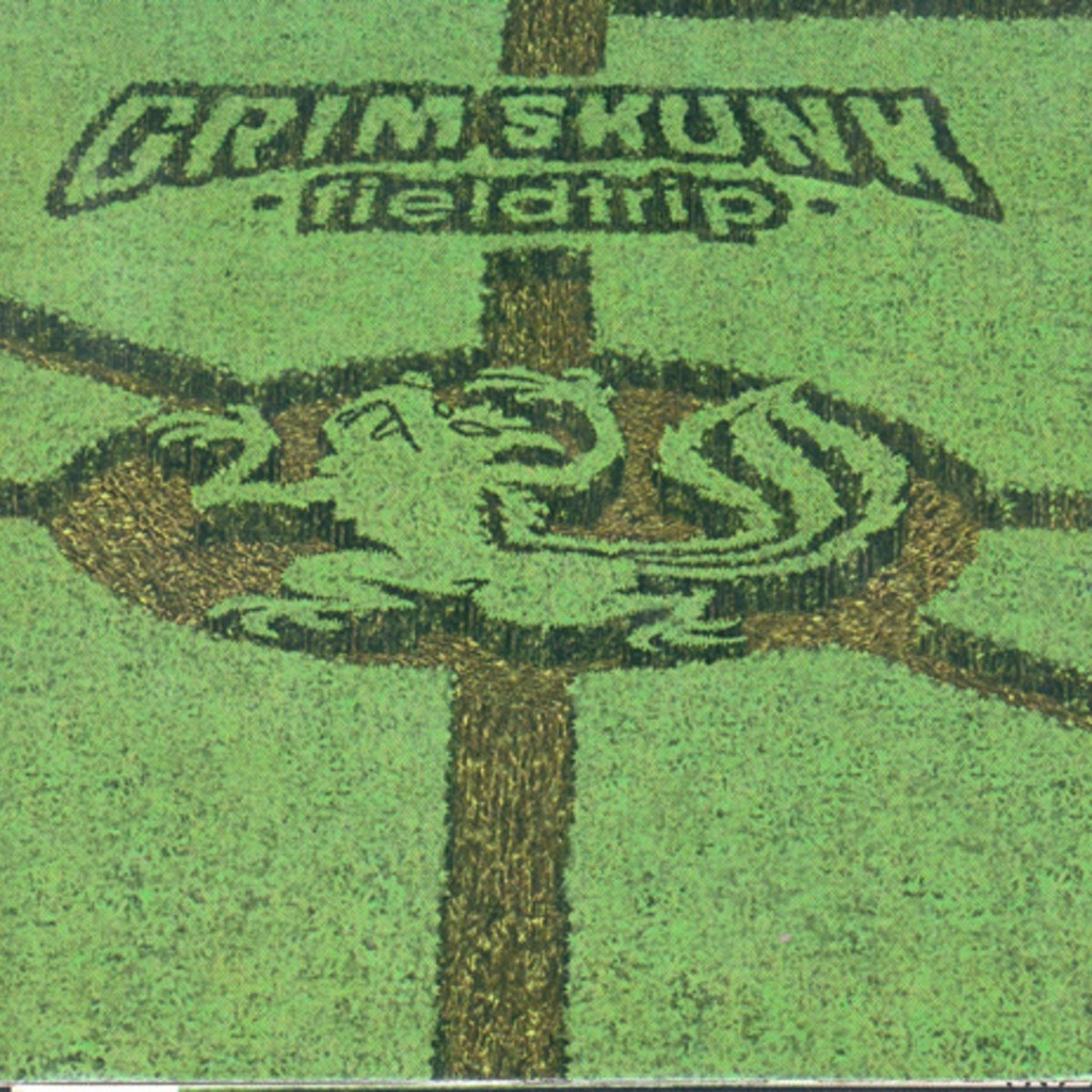 GrimSkunk - Fieldtrip - LP Vinyl