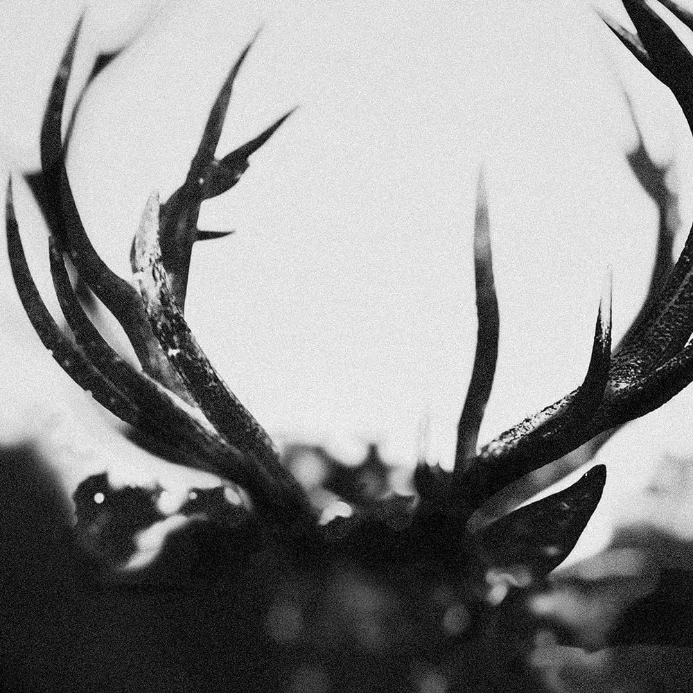IHSAHN - Ihsahn - Double LP Vinyle