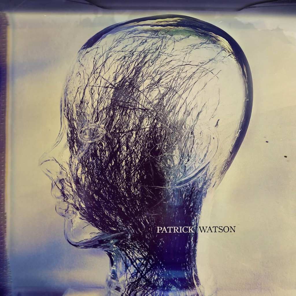 Patrick Watson - Wave - LP Vinyle