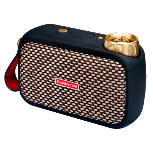 Positive Grid Spark-Go Ampli Intelligent