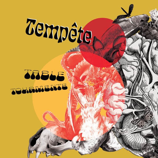 [NEFA-014] Tempête - Table tourmente - Vinyle