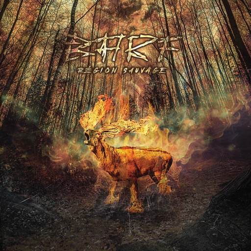 [BARFRSLP] BARF - Région Sauvage - LP Vinyle