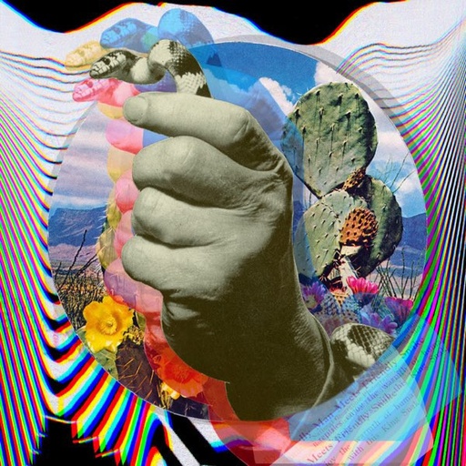 [INDLP163] Caracol - Symbolism - LP Vinyle