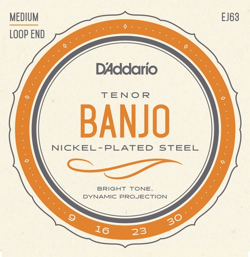 [EJ63] D'Addario EJ63 Tenor Banjo Strings, Nickel, 9-30