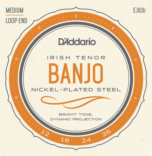 [EJ63I] D'Addario EJ63i Irish Tenor Banjo Strings, Nickel, 12-36