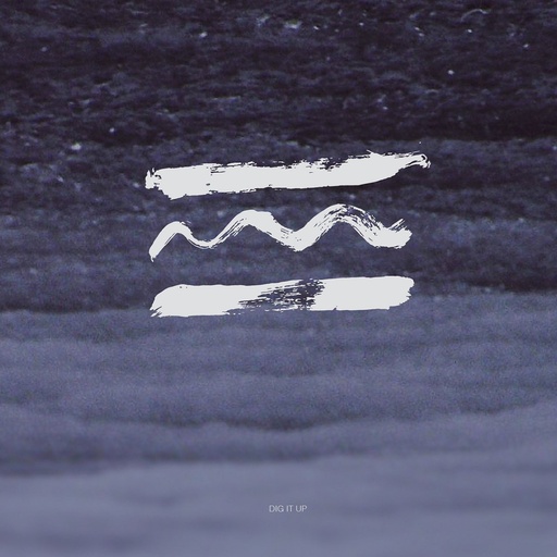 [STMP133] Dig It Up - Bad Water - CD