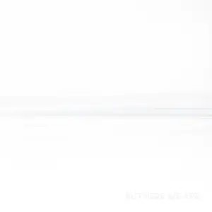 [19658817831] Foo Fighters - But Here We Are LP Vinyl