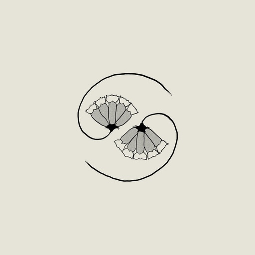 [CST156] Godspeed You! Black Emperor – G_d's Pee AT STATE'S END! - LP + MLP Vinyle